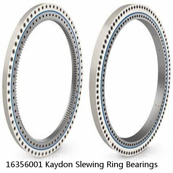 16356001 Kaydon Slewing Ring Bearings