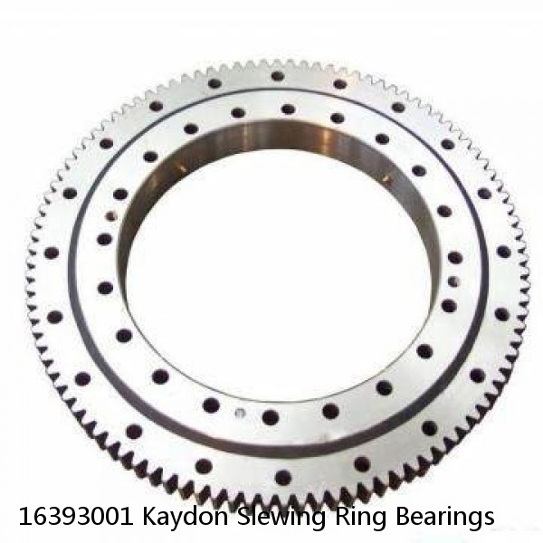 16393001 Kaydon Slewing Ring Bearings