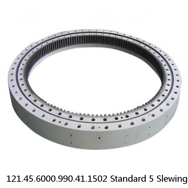 121.45.6000.990.41.1502 Standard 5 Slewing Ring Bearings