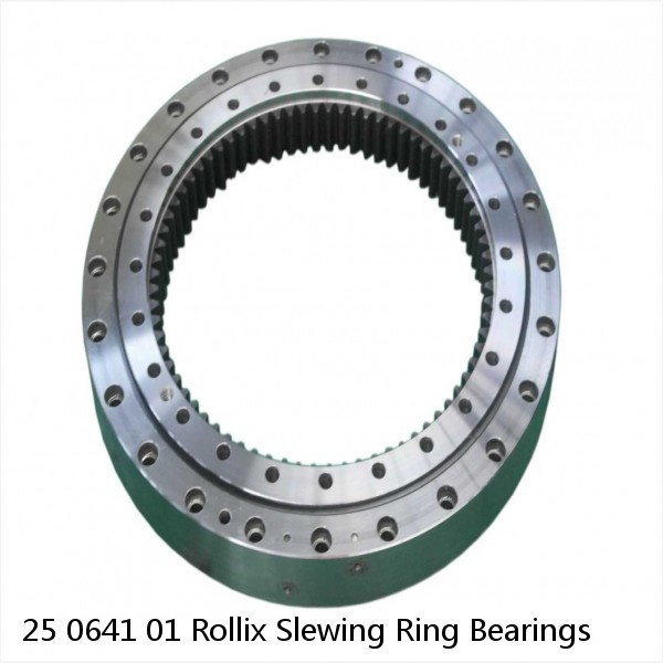 25 0641 01 Rollix Slewing Ring Bearings #1 small image