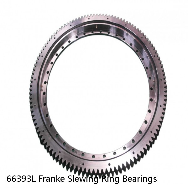 66393L Franke Slewing Ring Bearings #1 small image