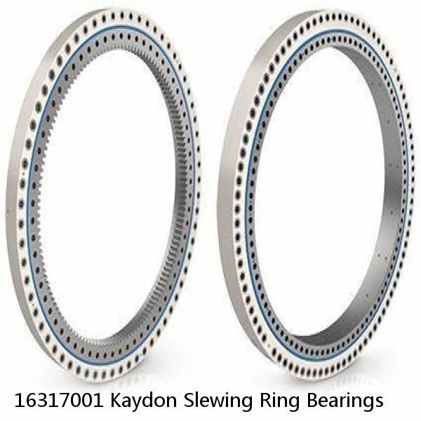 16317001 Kaydon Slewing Ring Bearings #1 small image