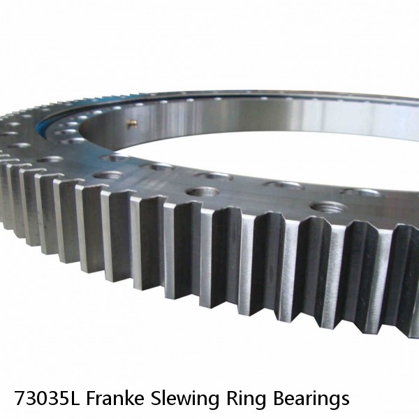 73035L Franke Slewing Ring Bearings #1 small image