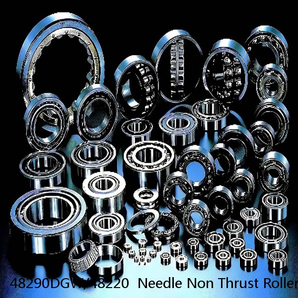 48290DGW/48220  Needle Non Thrust Roller Bearings