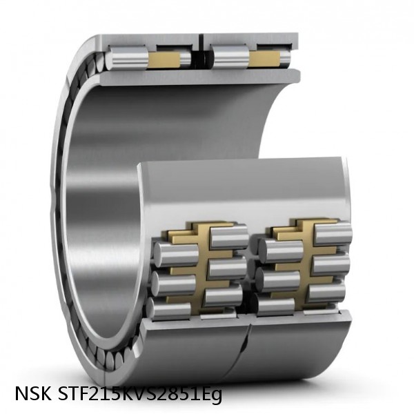 STF215KVS2851Eg NSK Four-Row Tapered Roller Bearing #1 small image