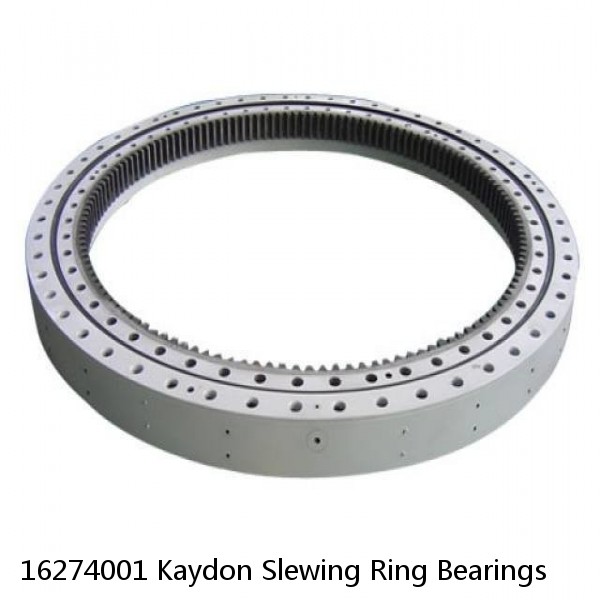 16274001 Kaydon Slewing Ring Bearings #1 small image