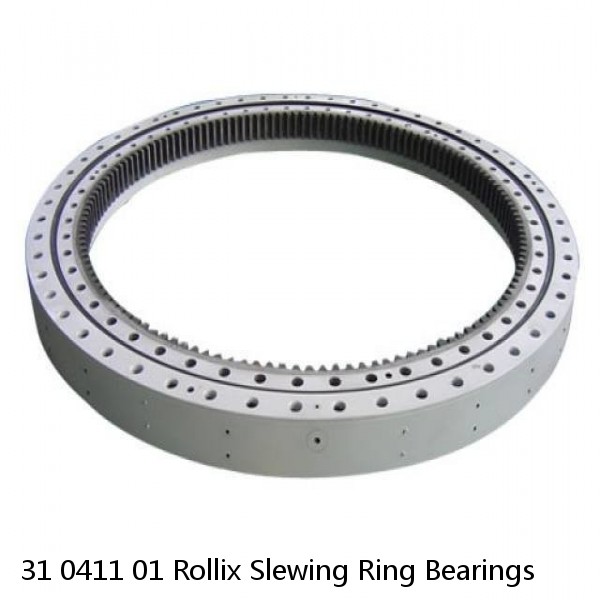 31 0411 01 Rollix Slewing Ring Bearings #1 image
