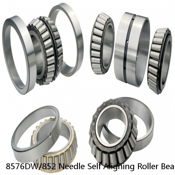 8576DW/852 Needle Self Aligning Roller Bearings #1 image