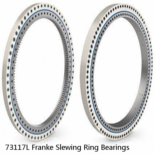 73117L Franke Slewing Ring Bearings #1 image