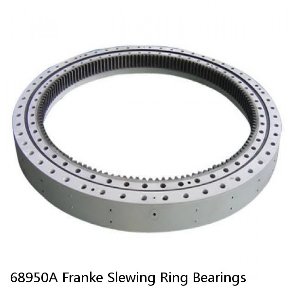68950A Franke Slewing Ring Bearings #1 image