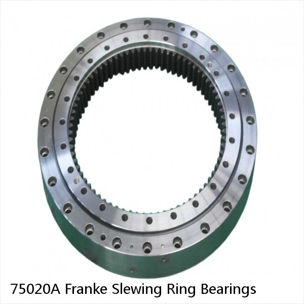 75020A Franke Slewing Ring Bearings #1 image
