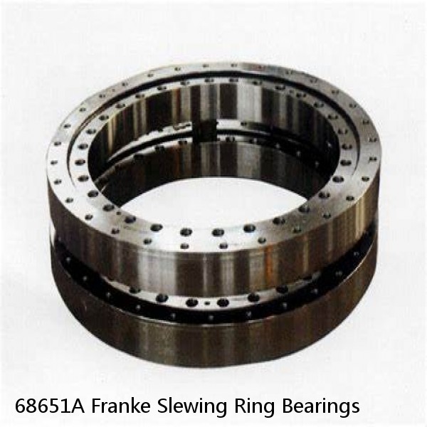 68651A Franke Slewing Ring Bearings #1 image