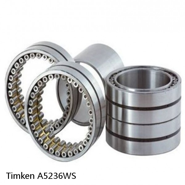 A5236WS Timken Cylindrical Roller Bearing #1 image