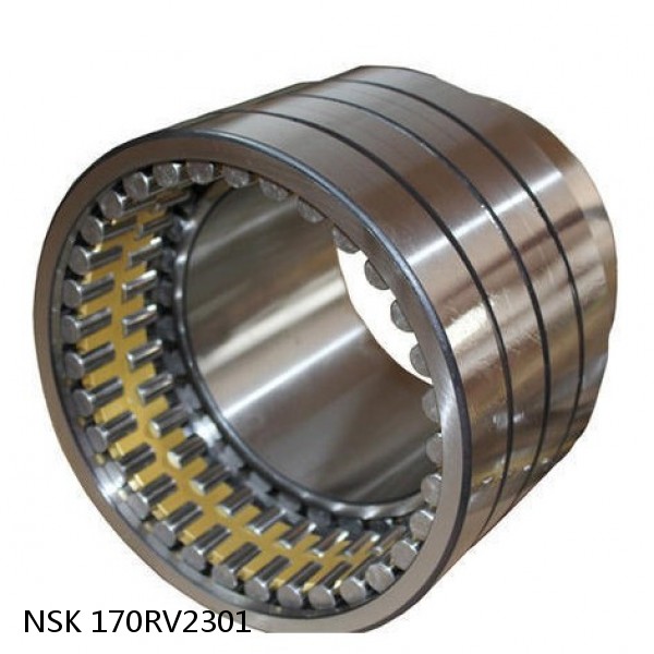 170RV2301 NSK Four-Row Cylindrical Roller Bearing #1 image