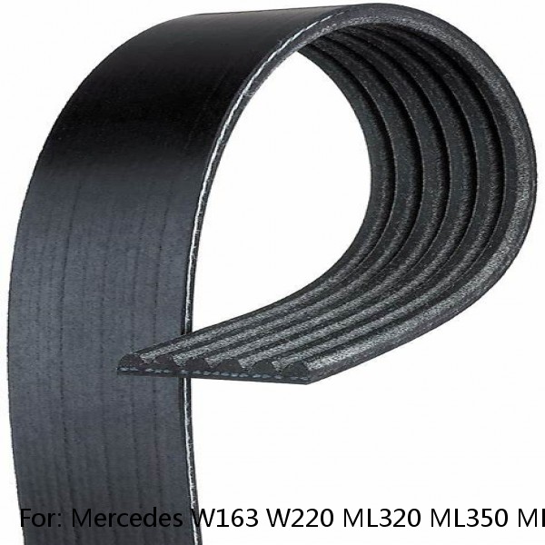 For: Mercedes W163 W220 ML320 ML350 ML500 ML55 AMG S350 Serpentine Belt GATES #1 image