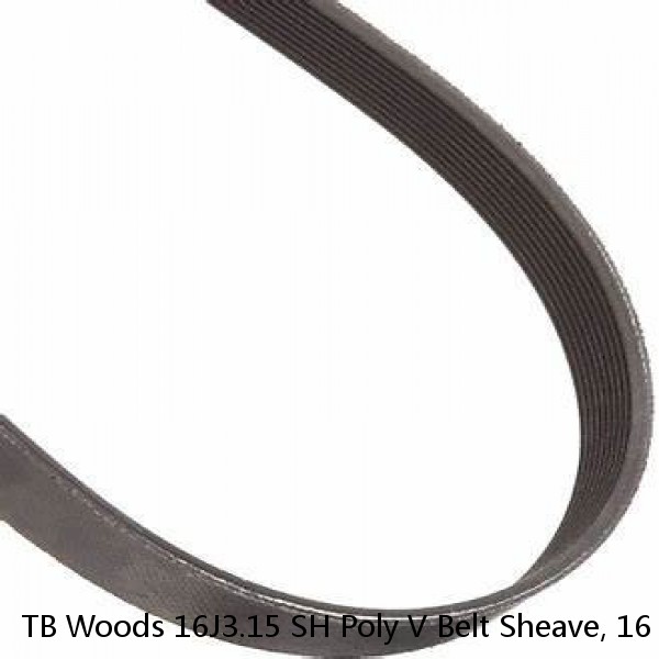 TB Woods 16J3.15 SH Poly V Belt Sheave, 16 Groove, J Type, 3.15" OD, SH Bushing #1 image