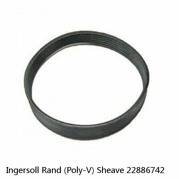 Ingersoll Rand (Poly-V) Sheave 22886742 #1 image